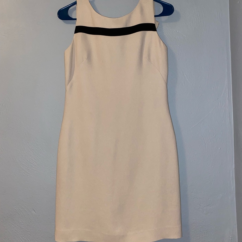 Petite Sophisticate Dress